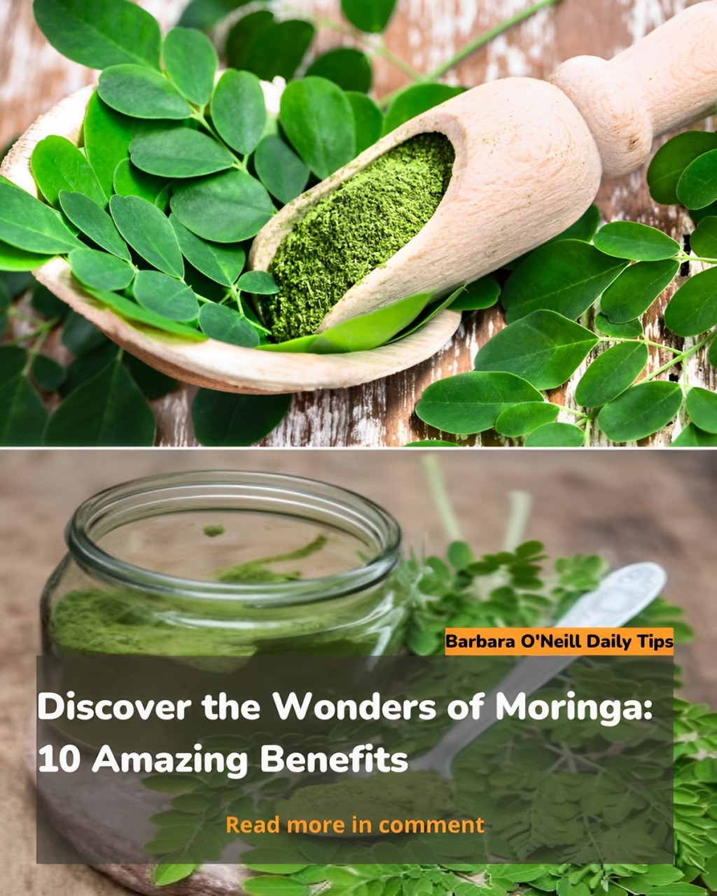 Cover Image for Discover the Wonders of Moringa: 10 Amazing Benefits